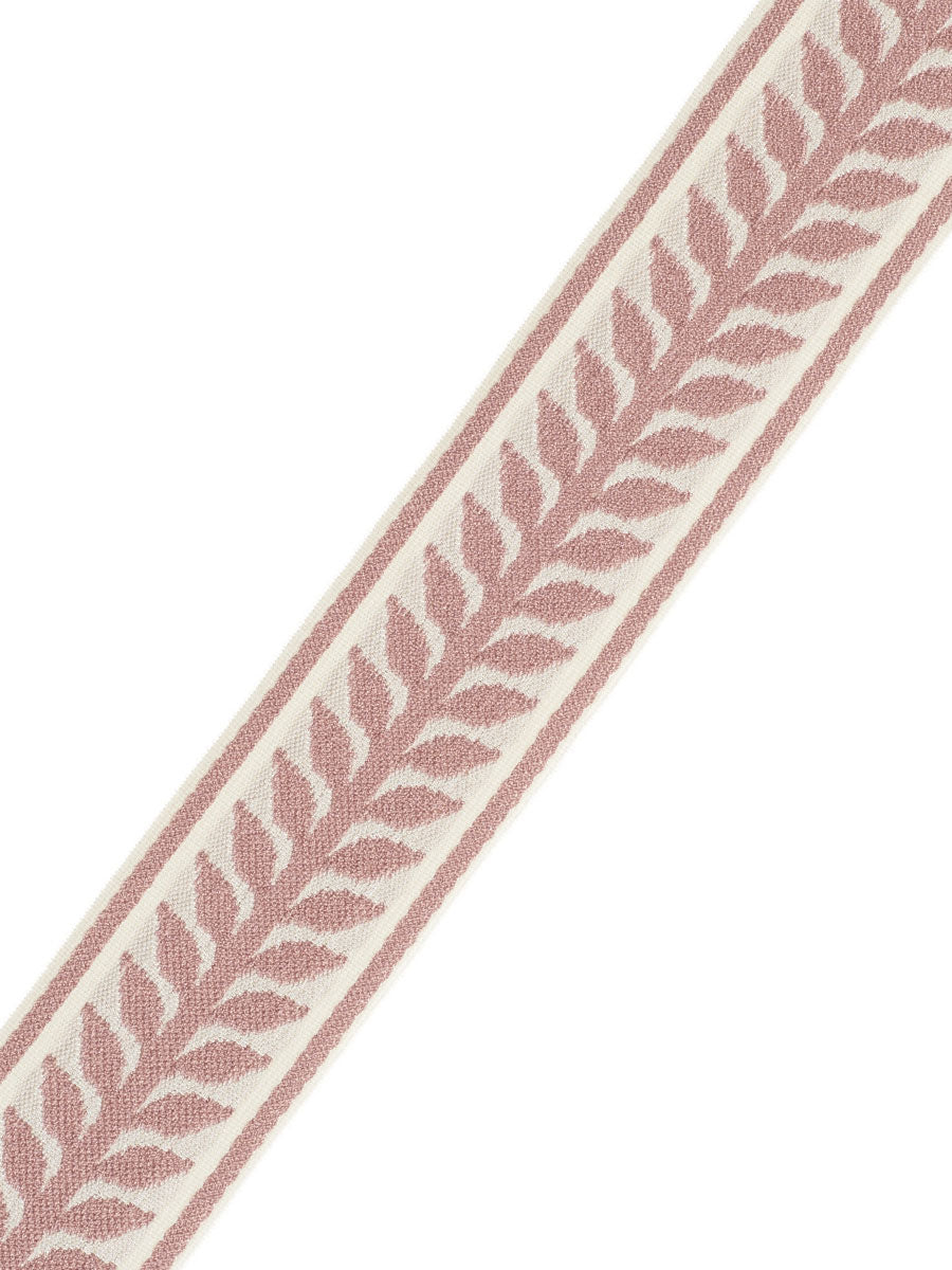 Fabric Trim Swatches